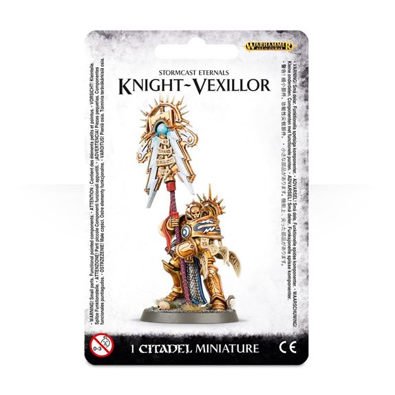 99070218002 Stormcastknightvexillor07