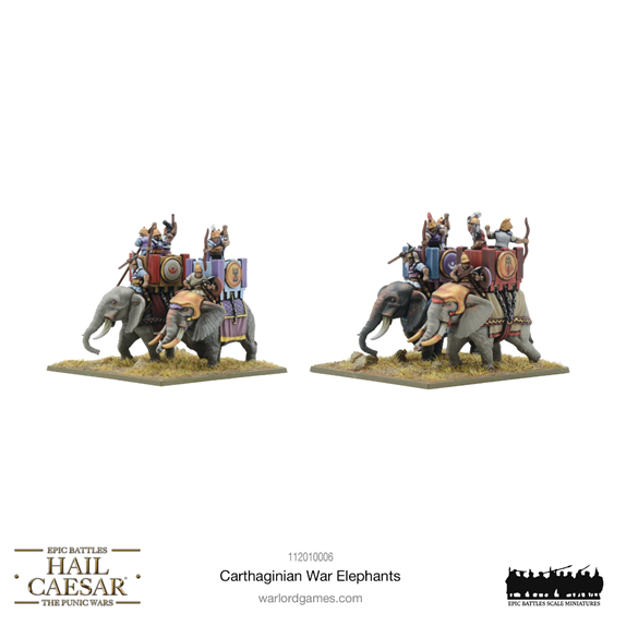 HC Elephants