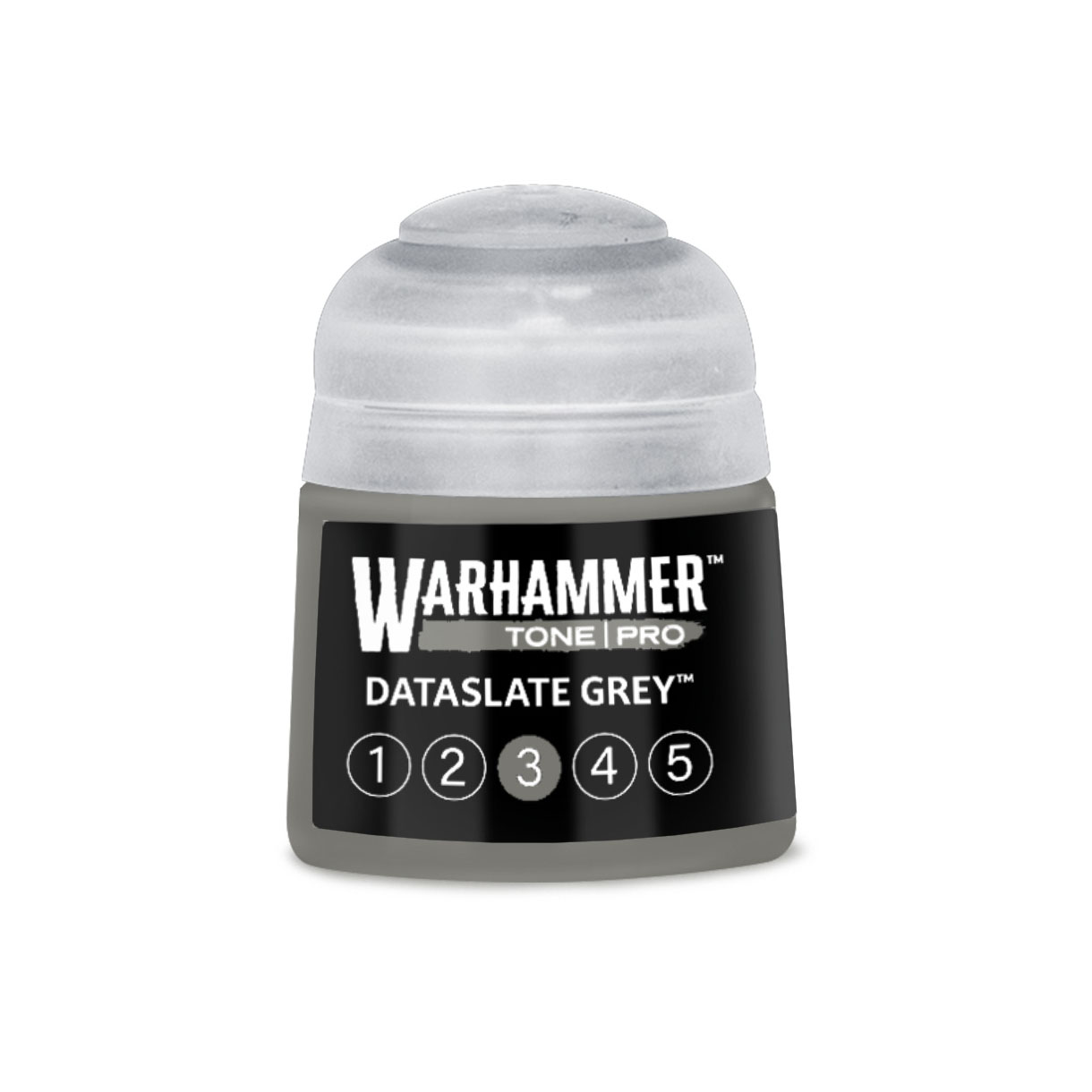 99189961258 Dataslategrey312ml