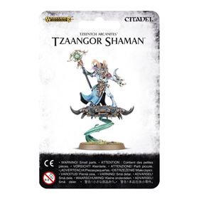 99070201021 Tzaangorshamen05