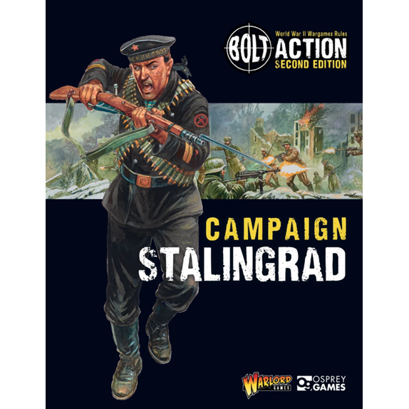 Stalingrad Book