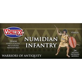 Victrixnumidianinf